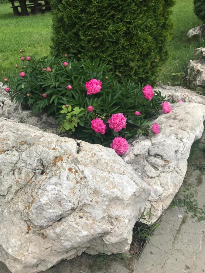 Vila Vraja Muntelui Moieciu de Jos Zewnętrze zdjęcie